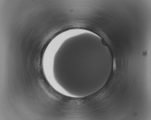 X0000111520627200908251138