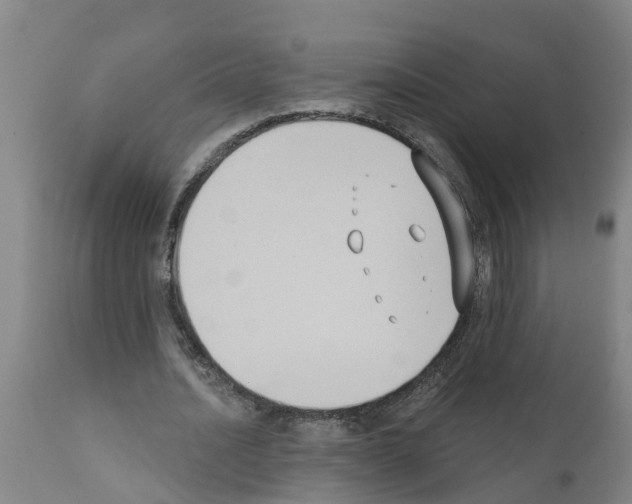 X0000111520628200908251138
