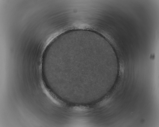 X0000111520630200908251138