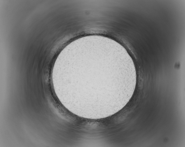 X0000111520631200908251138