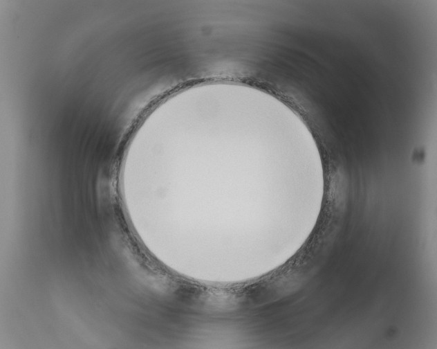 X0000111520632200908251138