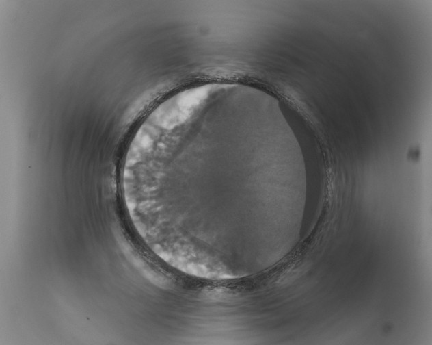X0000111520634200908251138