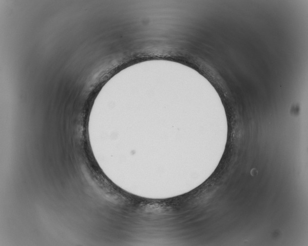 X0000111520635200908251138