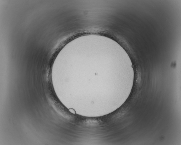 X0000111520636200908251138