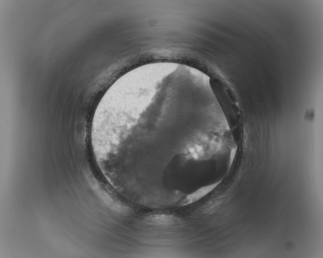 X0000111520637200908251138