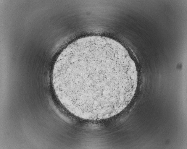 X0000111520638200908251138