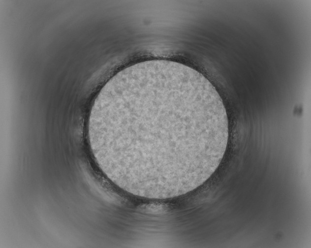 X0000111520639200908251138
