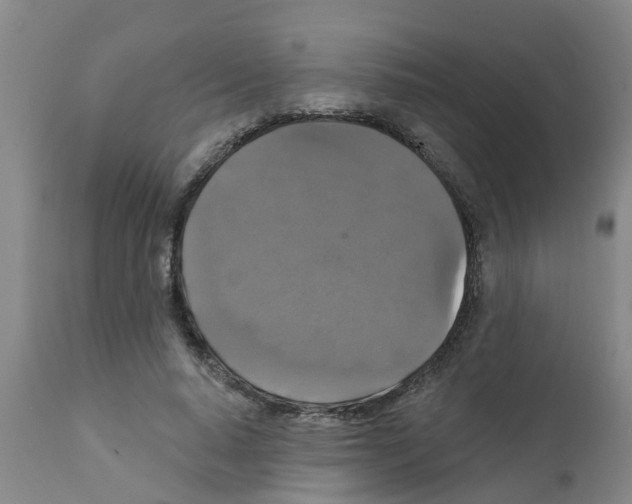 X0000111520640200908251138