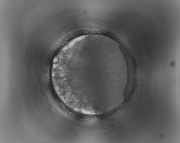 X0000111520642200908251138