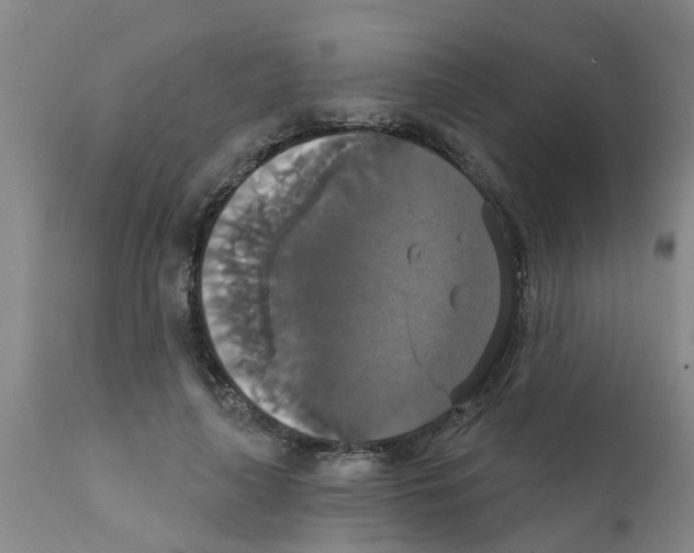 X0000111520643200908251138