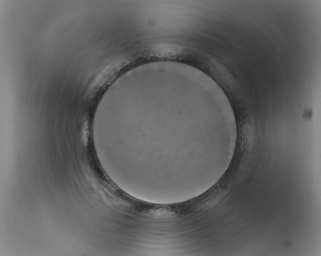 X0000111520644200908251138