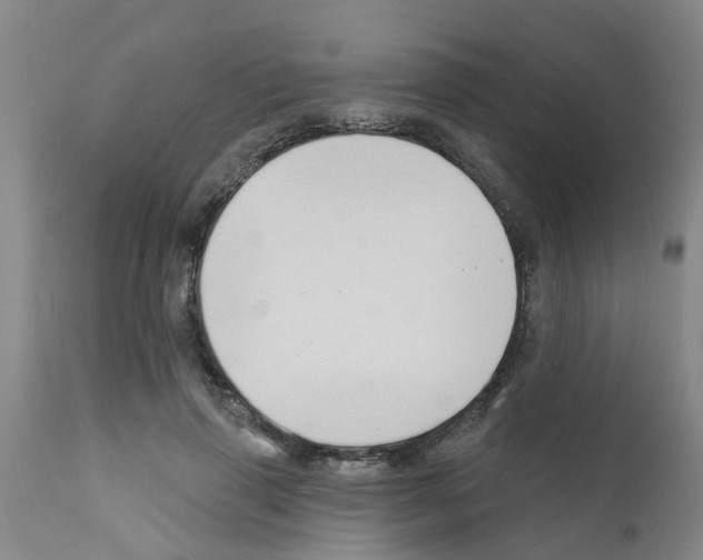 X0000111520645200908251138