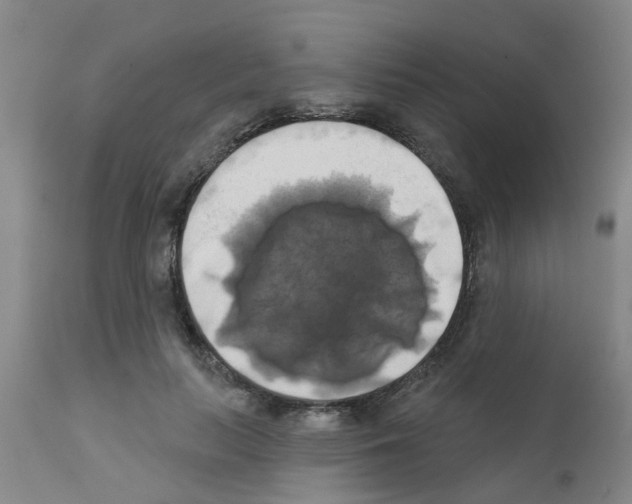 X0000111520647200908251138