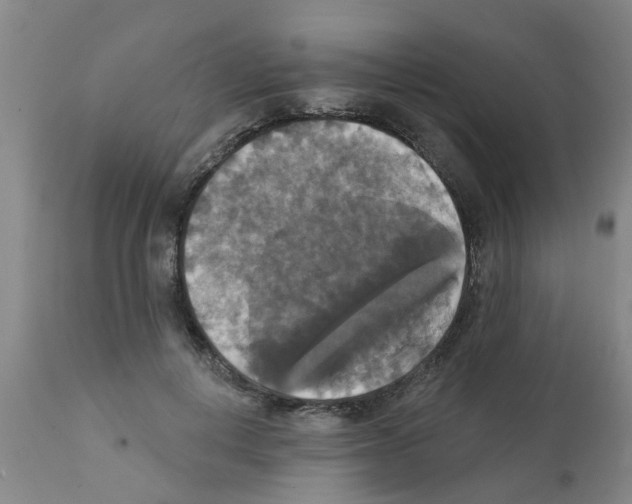 X0000111520648200908251138