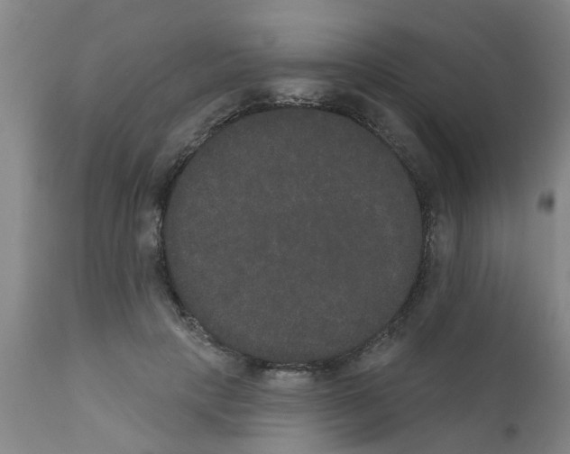 X0000111520649200908251138