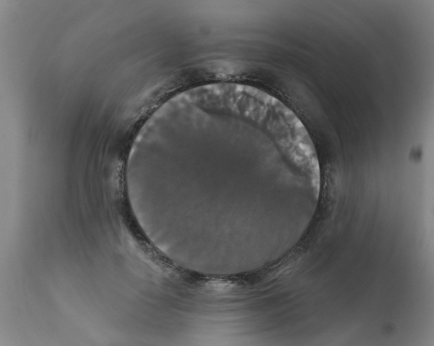 X0000111520650200908251138