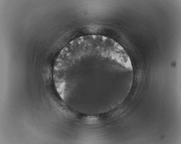 X0000111520651200908251138