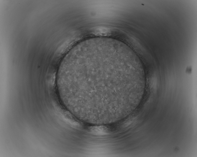 X0000111520652200908251138