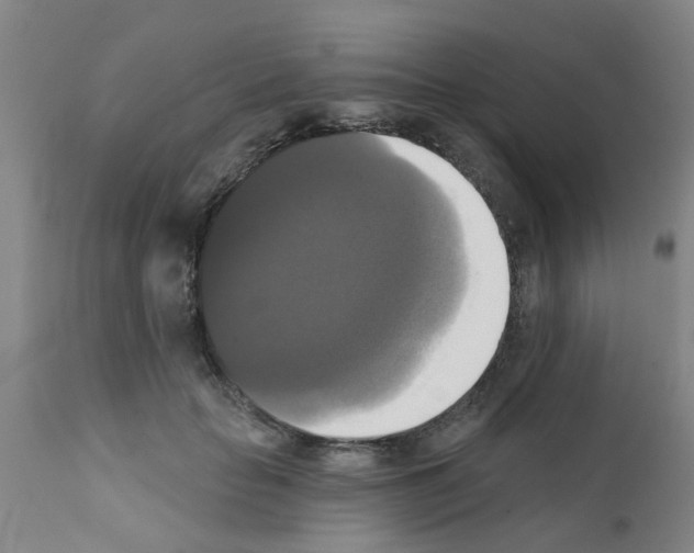 X0000111520653200908251138