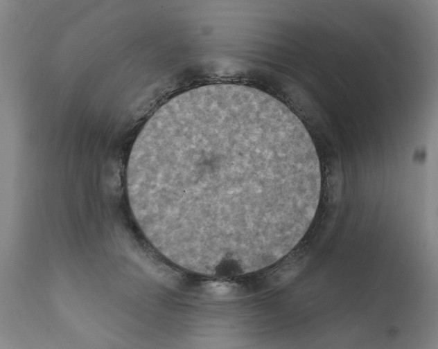 X0000111520654200908251138