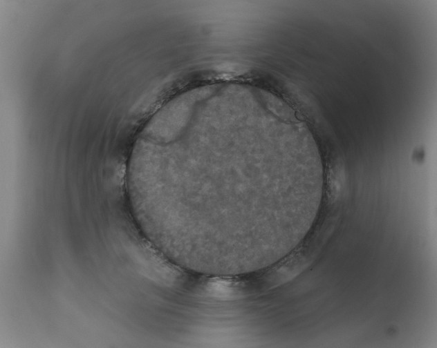 X0000111520657200908251138