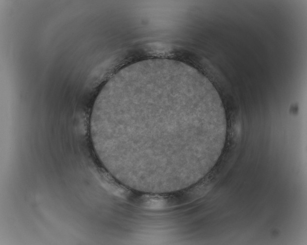 X0000111520658200908251138