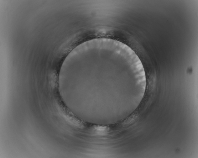 X0000111520659200908251138