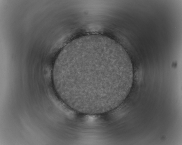 X0000111520662200908251138