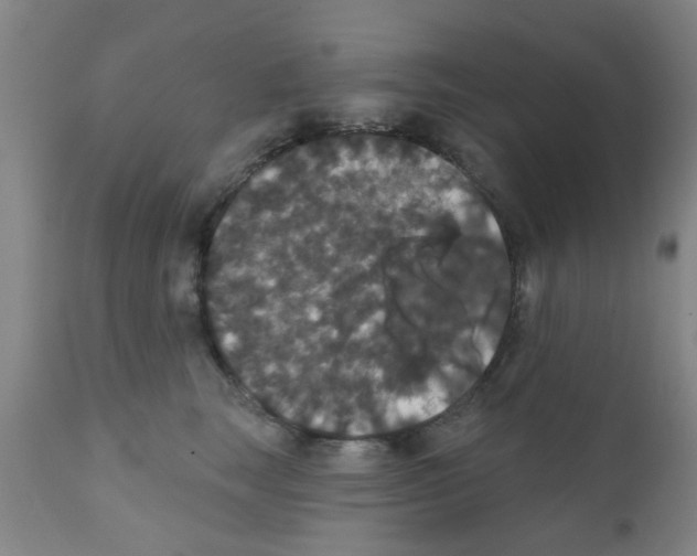 X0000111520663200908251138