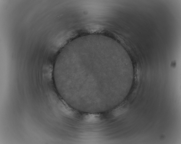 X0000111520664200908251138