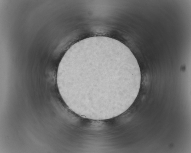 X0000111520666200908251138