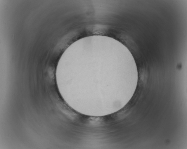X0000111520667200908251138