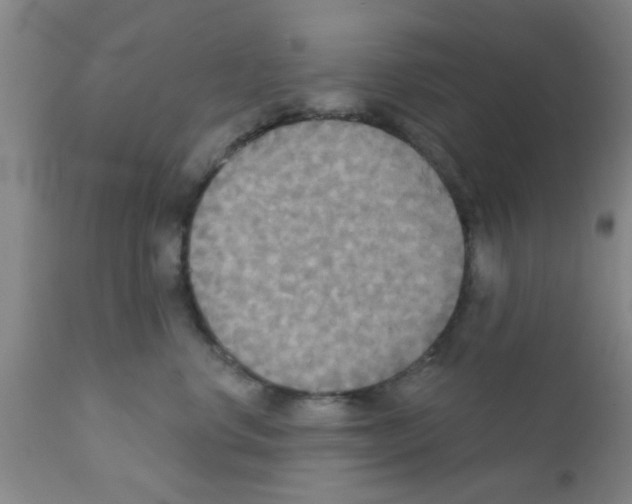 X0000111520668200908251138