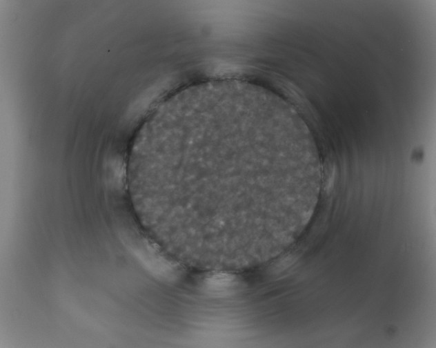 X0000111520669200908251138