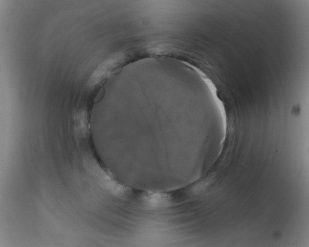 X0000111520670200908251138