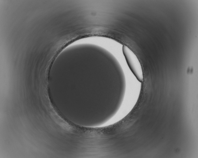 X0000111520673200908251138