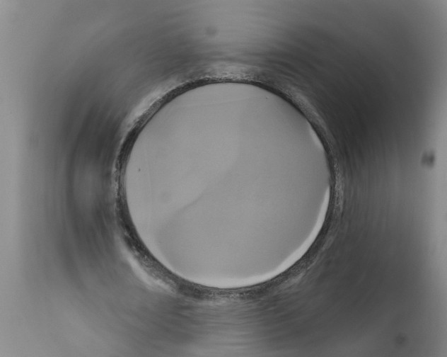 X0000111520674200908251138