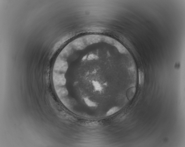 X0000111520675200908251138