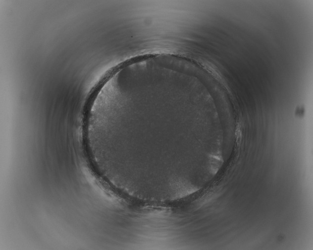 X0000111520676200908251138