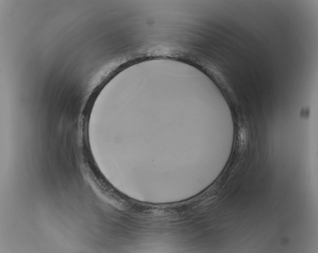 X0000111520678200908251138