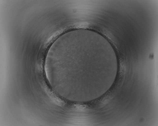 X0000111520681200908251138
