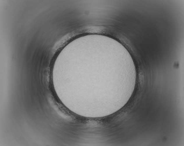 X0000111520682200908251137