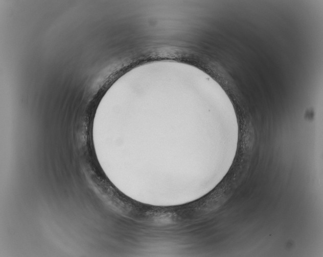 X0000111520683200908251137