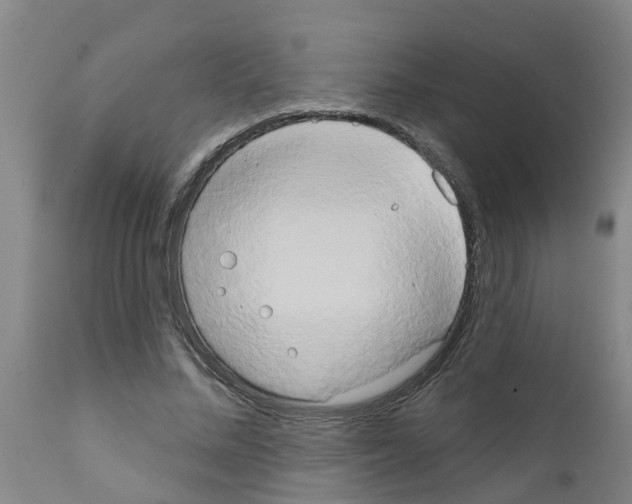X0000111520684200908251137