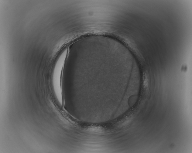 X0000111520685200908251137