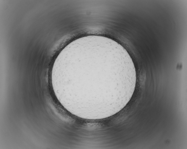 X0000111520686200908251137
