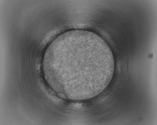 X0000111520687200908251137