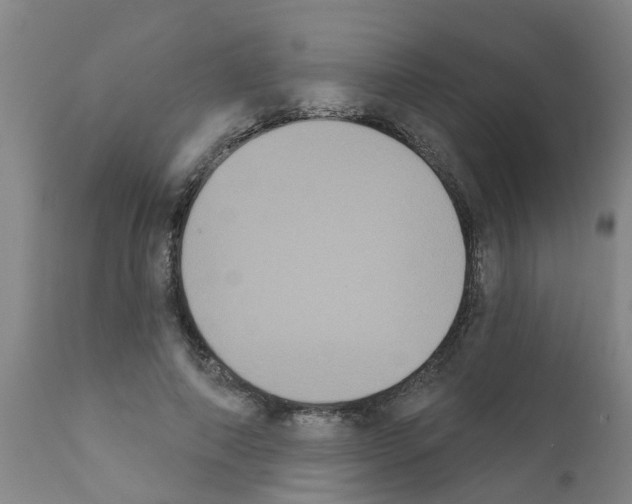 X0000111520690200908251137