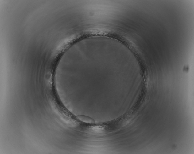 X0000111520692200908251137