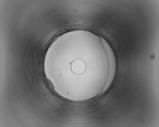 X0000111520693200908251137